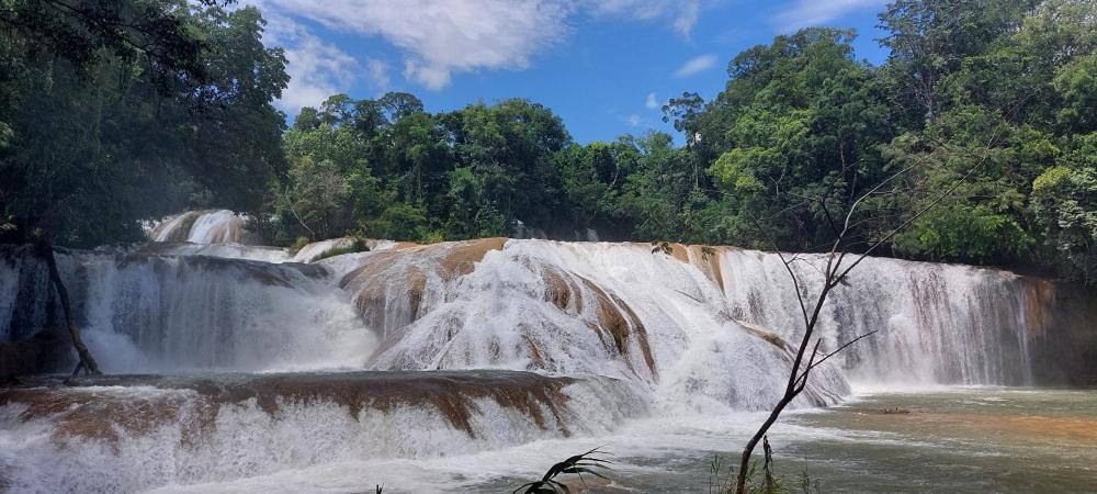 Cabanas Yax-Ha Arroyo Agua Azul Εξωτερικό φωτογραφία