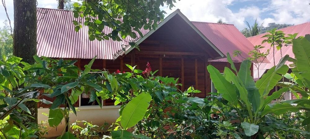 Cabanas Yax-Ha Arroyo Agua Azul Εξωτερικό φωτογραφία